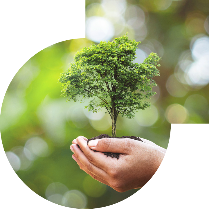 关怀人类、文化、环境与社会